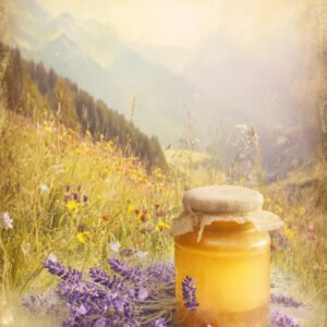 Honey Mountain Lavender Prompts for Claude