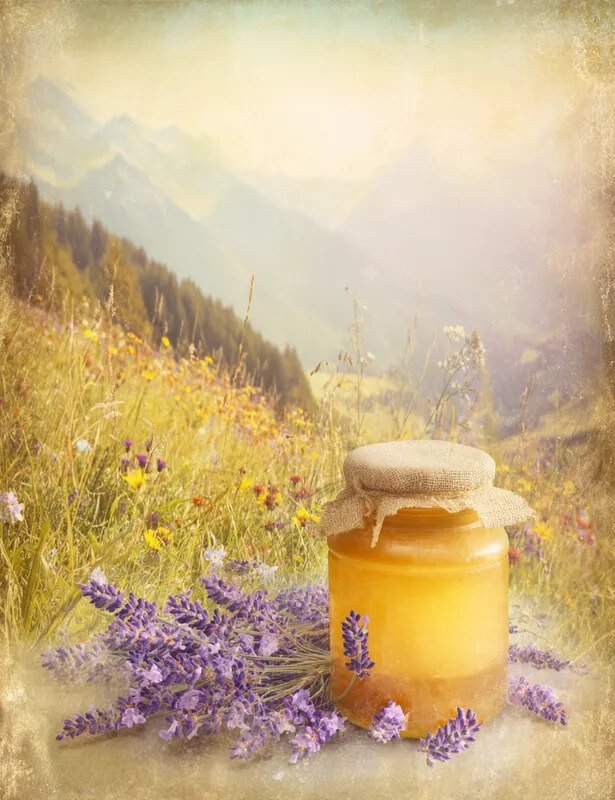 Honey Mountain Lavender Prompts for Claude